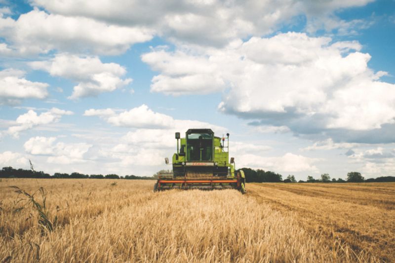 Governo anuncia a liberação de mais recursos para a contratação de seguro rural