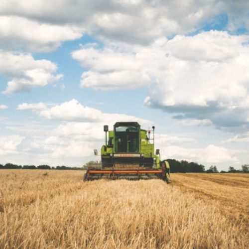 Governo anuncia a liberação de mais recursos para a contratação de seguro rural