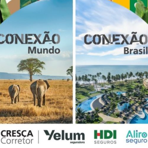 Grupo HDI leva 100 corretores para viagem à África do Sul