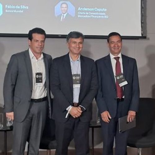CNseg, BID, Banco Mundial e Pottencial Seguradora debatem sinergias para mitigar riscos em PPPs