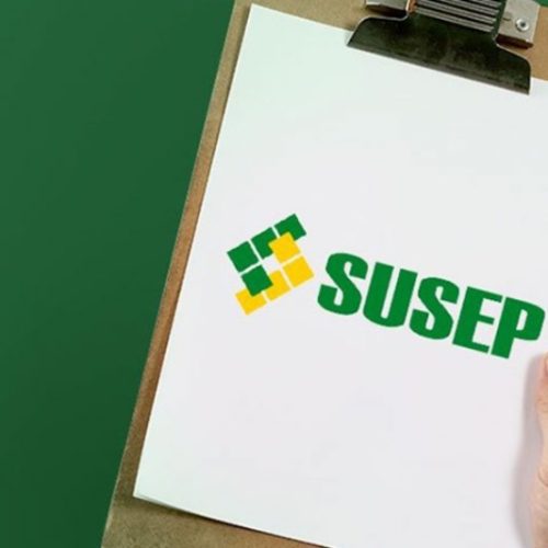 Susep participa de evento sobre estratégias e inovações na transferência de riscos